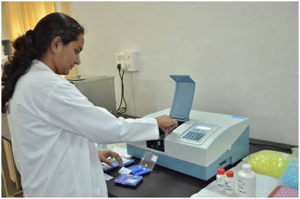 UV-Visible Spectrophotometer (Elico, India)